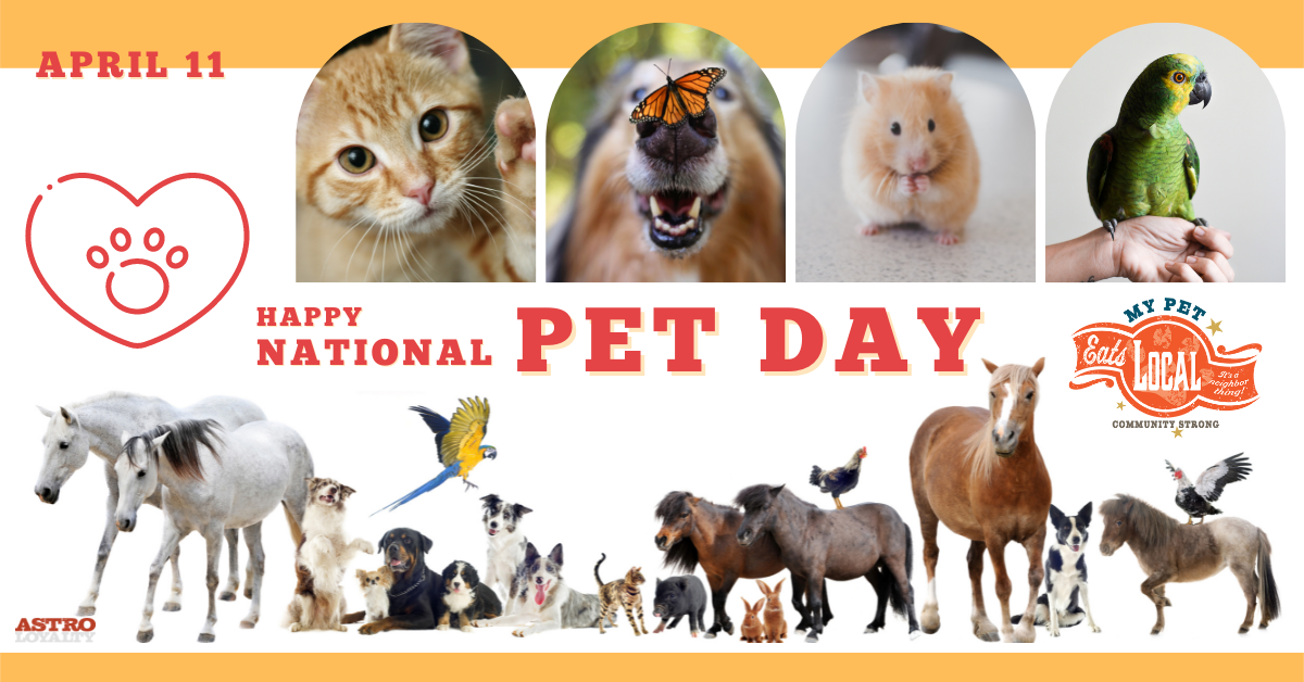 April 11 National Pet Day