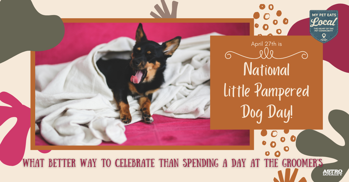 April 27_National Little Pampered Dog Day