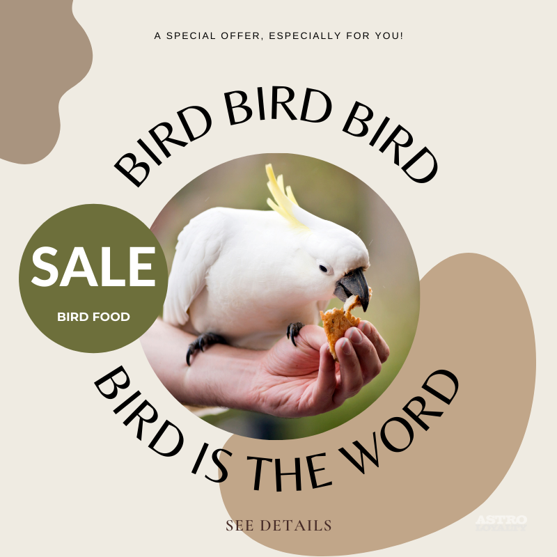 Bird Food Sale