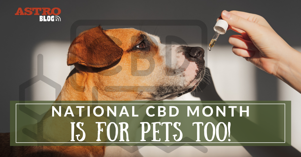 Blog National CBD Month is for Pets Too!