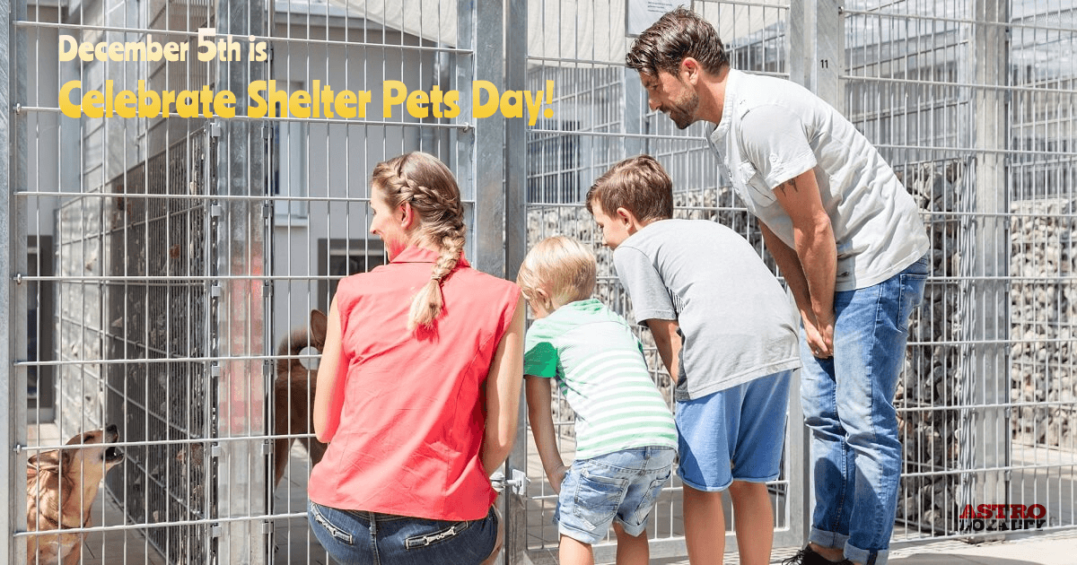 Dec 5_ Celebrate Shelter Pets Day