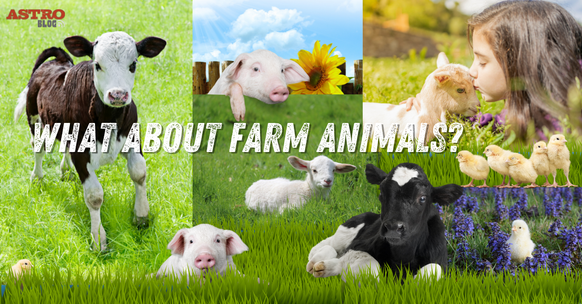 Farm Animals