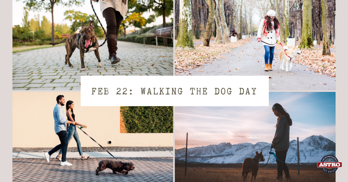 February 22_ Walking The Dog Day