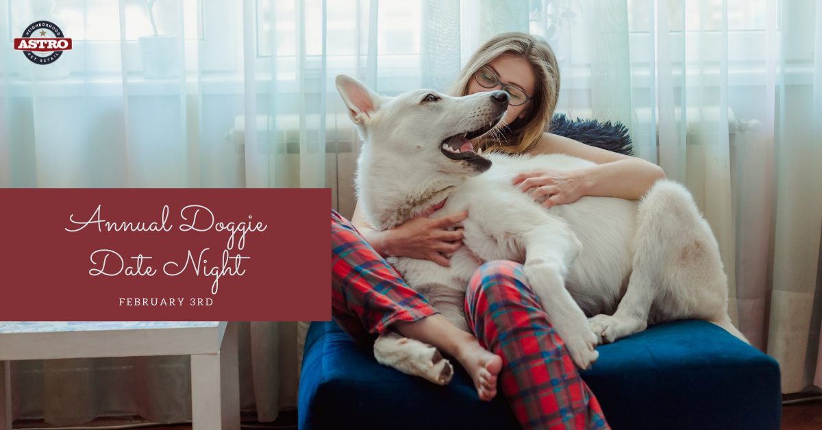 February 3_ Annual Doggie Date Night (2)