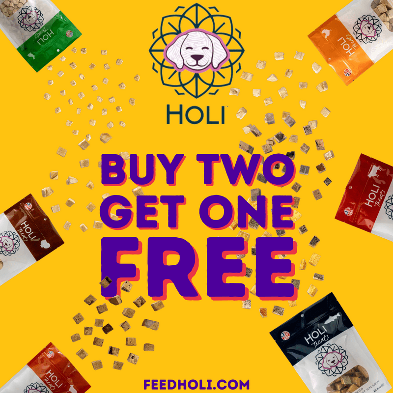 Holi Offer