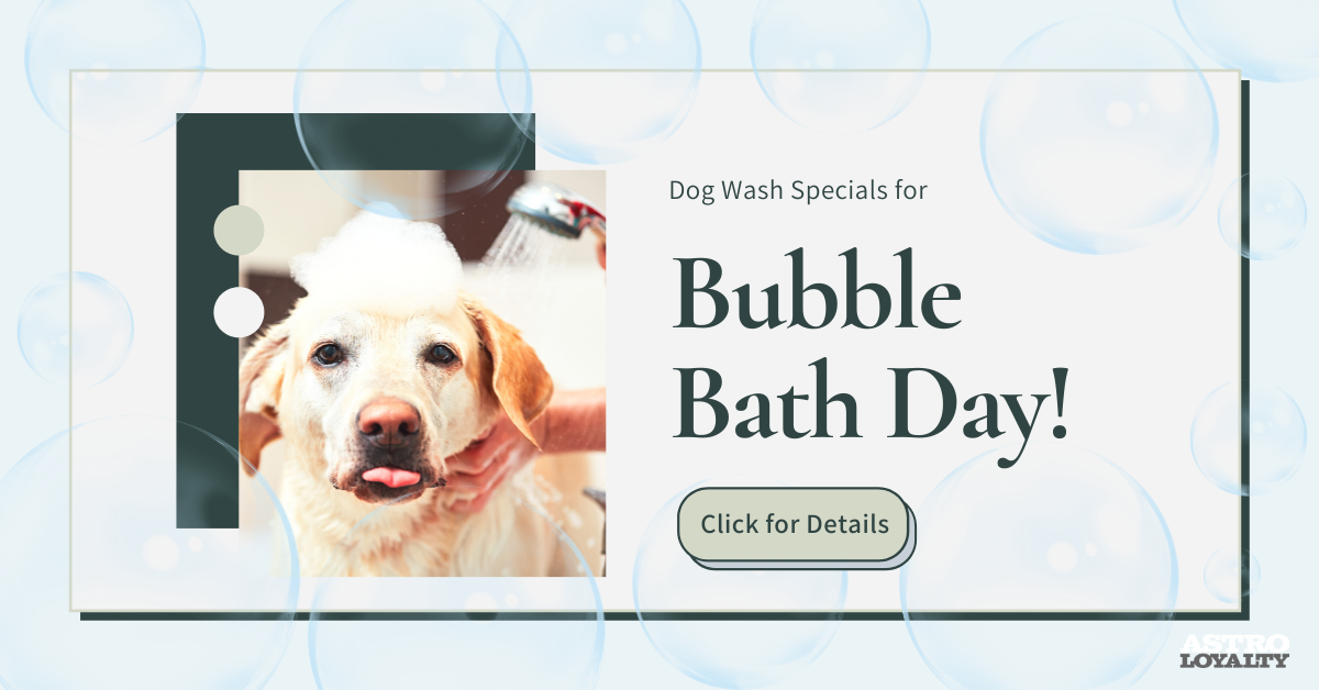 January Pet Holidays_Jan 8_Bubble Bath Day