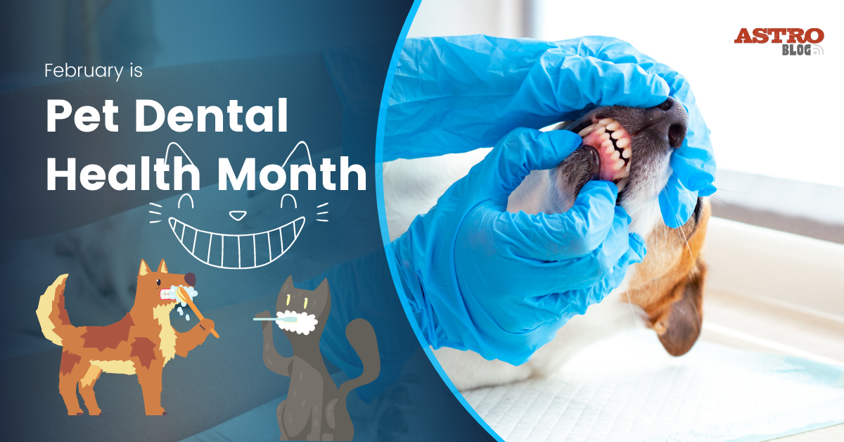 Pet Dental Health Month