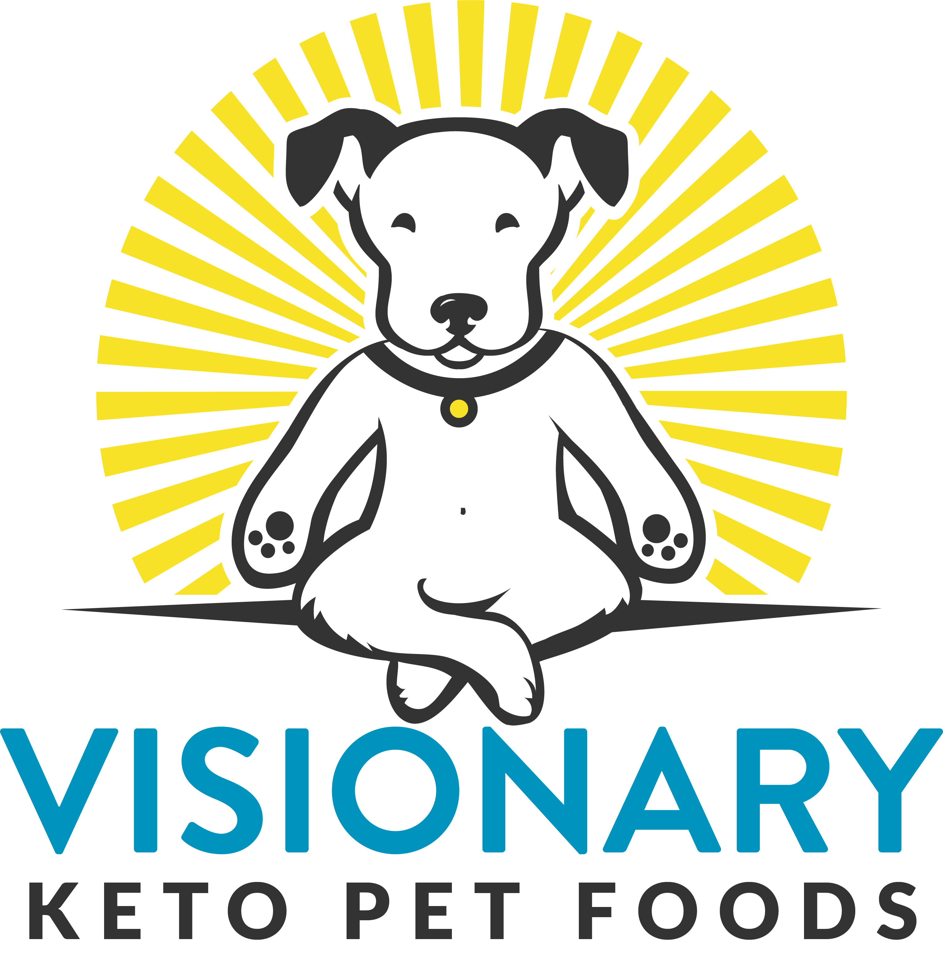 Visionary Keto Pet Foods Logo