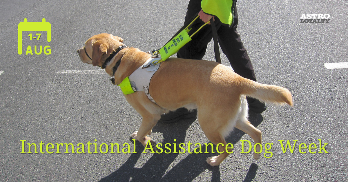 Aug 1-7_ International Assistance Dog Week
