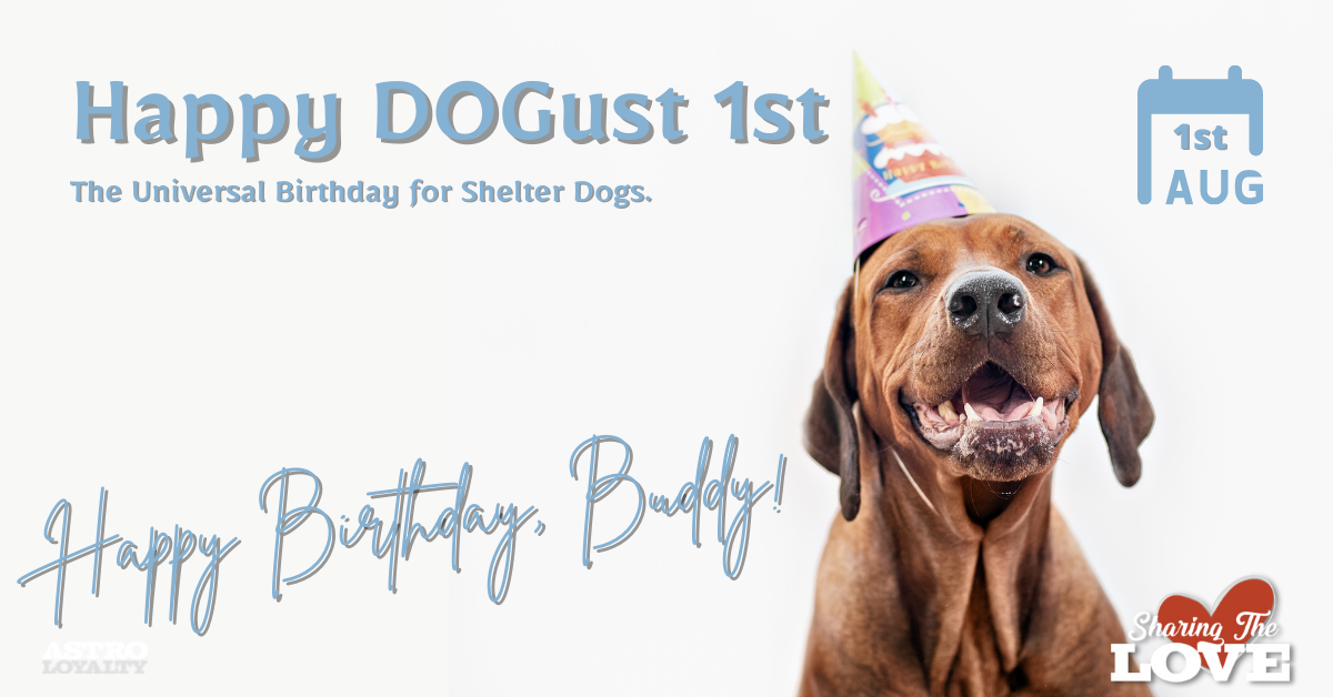 Aug. 1_DOGust Universal Birthday for Shelter Dogs