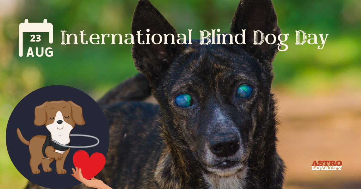 Aug. 23_ International Blind Dog Day