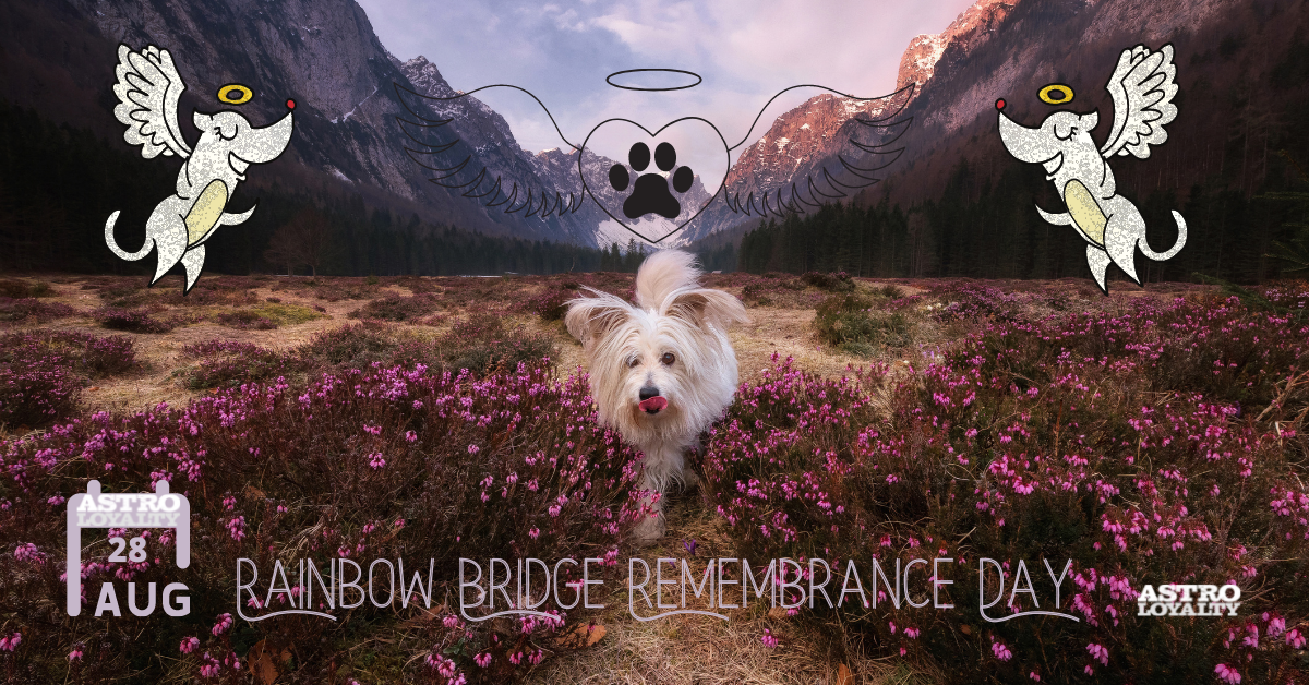 Aug. 28_ Rainbow Bridge Remembrance Day