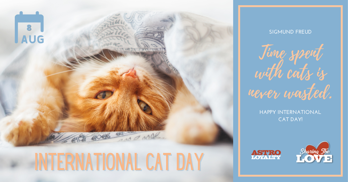 Aug. 8_ International Cat Day