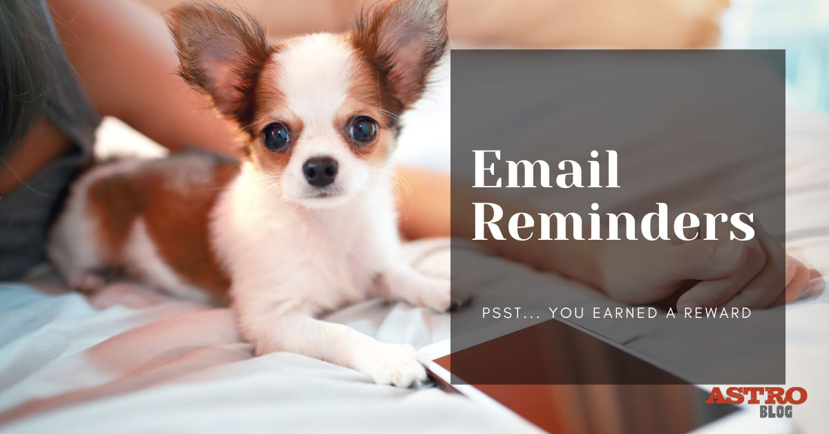 Email Reminders