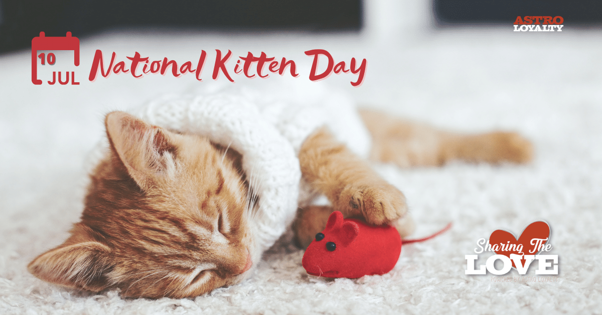 July 10_ National Kitten Day