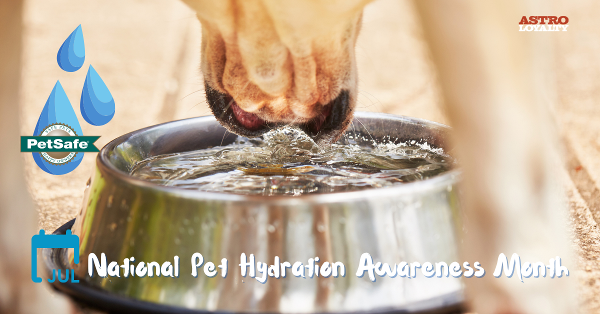 July _ National Pet Hydration Awareness Month-1
