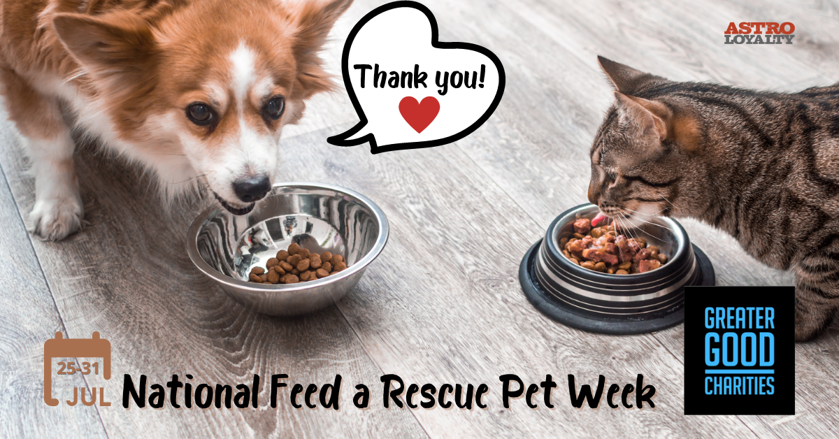 Late July (25th) _ National Feed a Rescue Pet Week-1