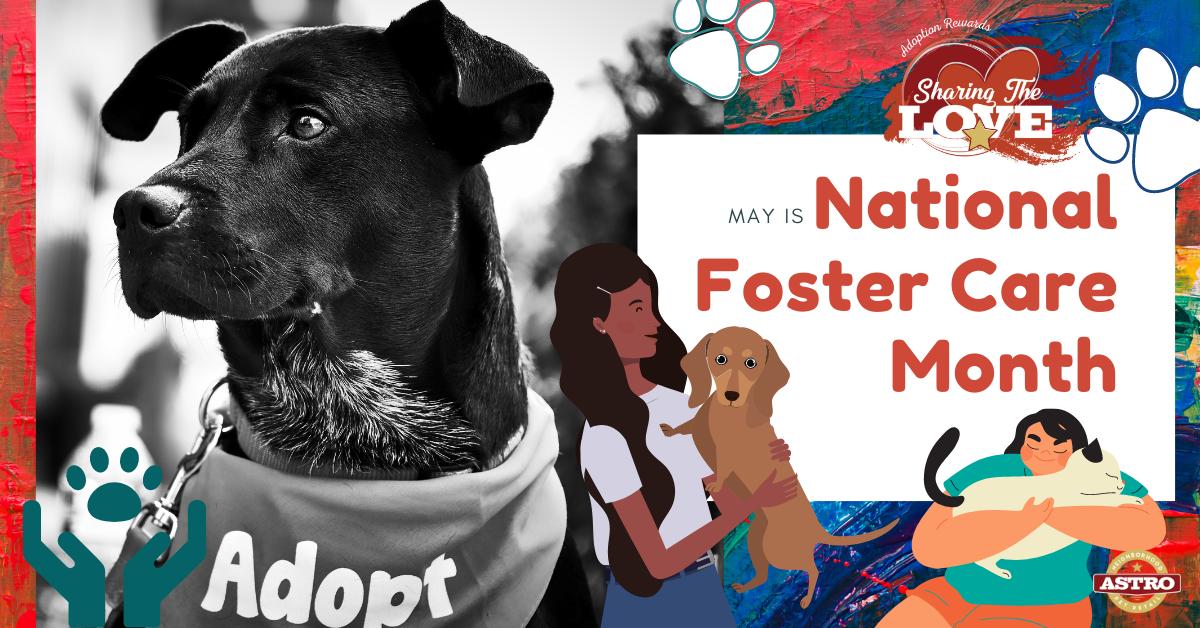 May National Foster Care Month