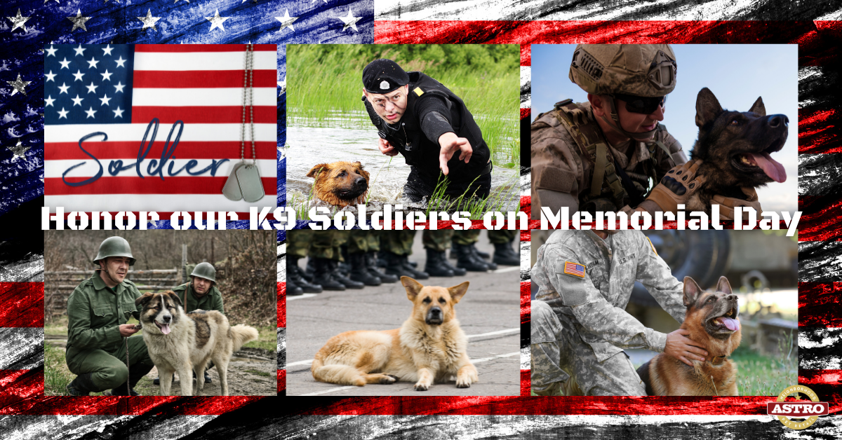 Memorial Day K9 Soldiers