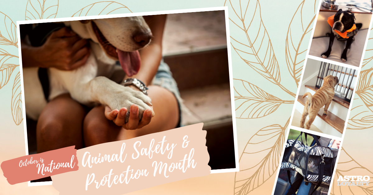 National Animal Safety and Protection Month.