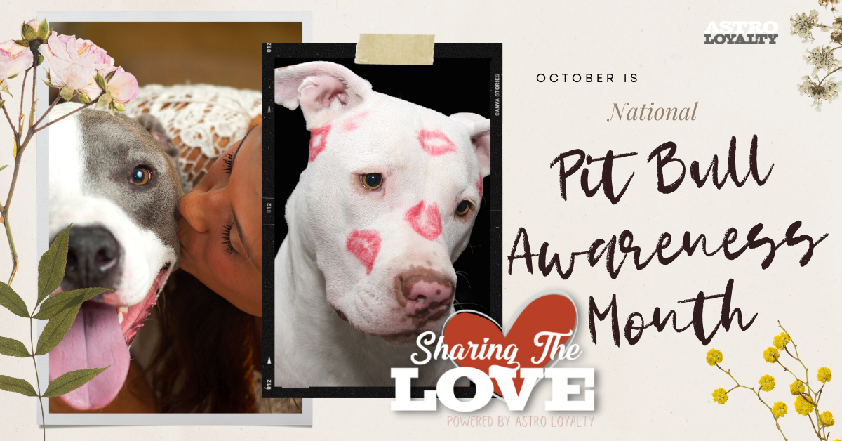 National Pit Bull Awareness Month