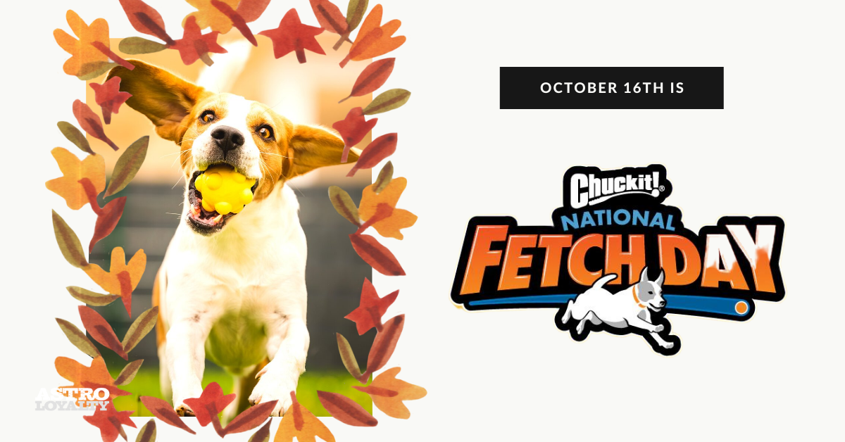 Oct. 17_ National Fetch Day