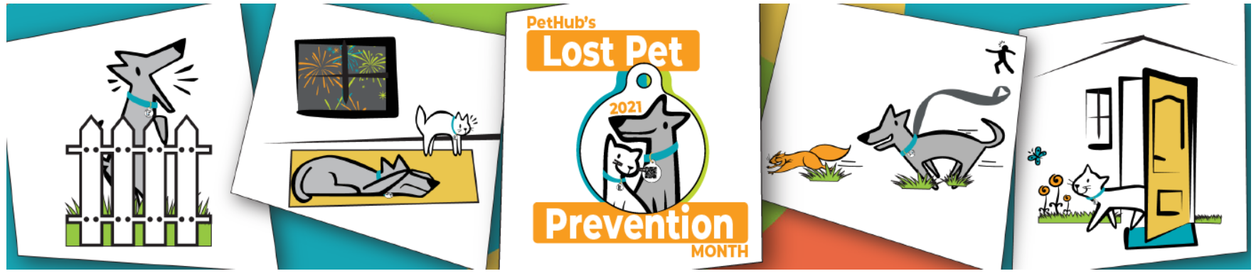 Pet Hub Lost Pet Prevention Month