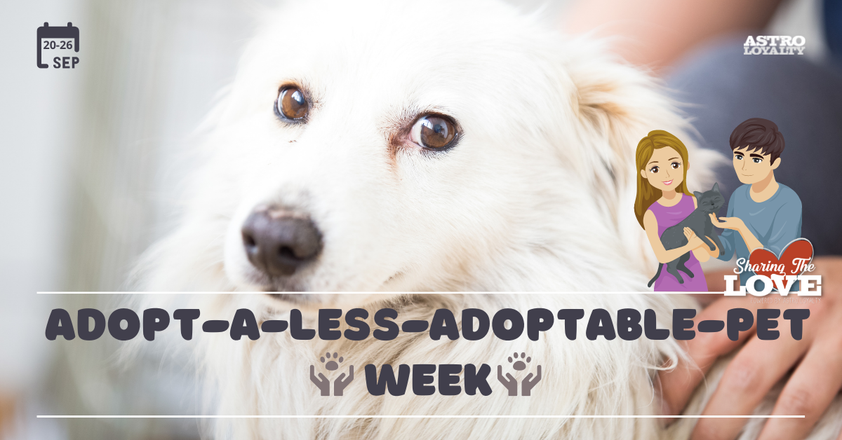 Sept. 20-26_ Adopt-a-Less-Adoptable-Pet Week-1