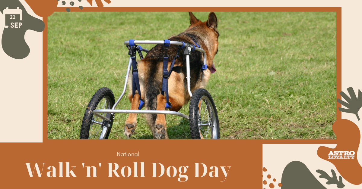 Sept. 22_ National Walk ‘n’ Roll Dog Day