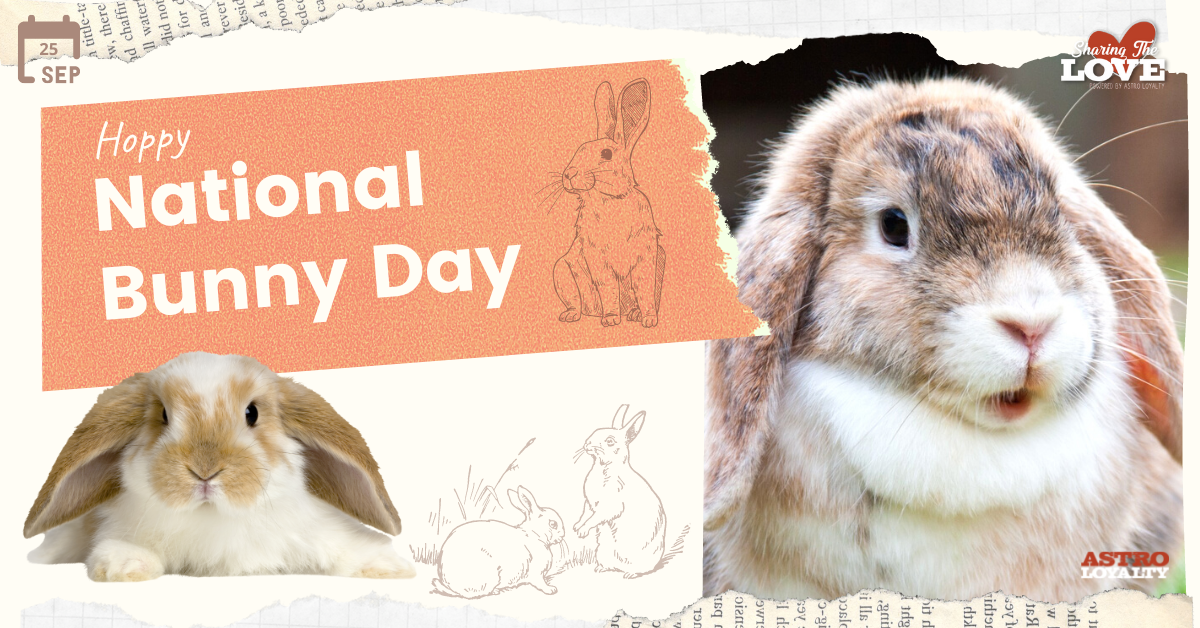 Sept. 23_ National Bunny Day