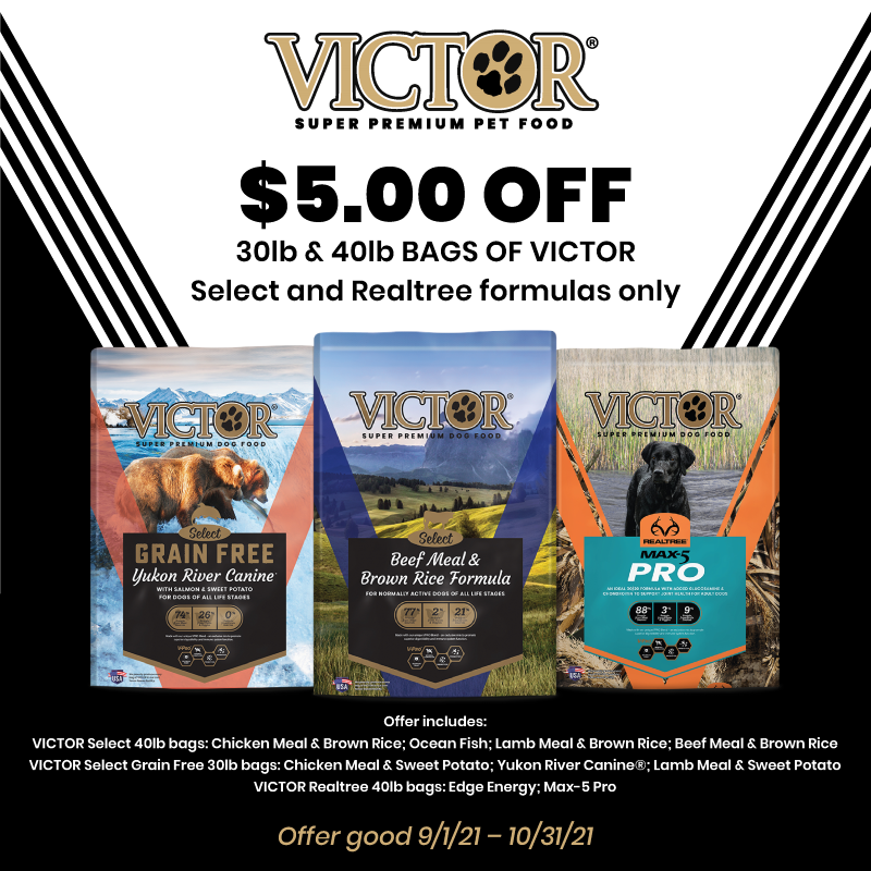 Victor Offer Image