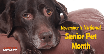 Senior Pet Month