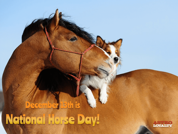 Dec 13th | National Horse Day
