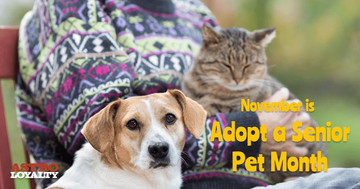 Adopt a Senior Pet Month