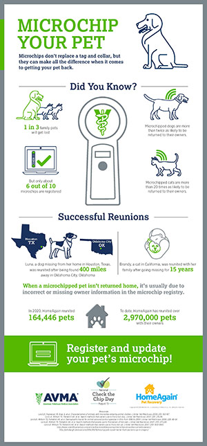 check-the-chip-infographic-2021
